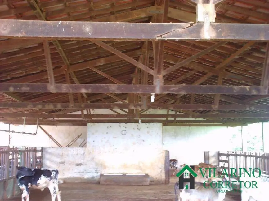 Fazenda / Haras com 4 quartos à venda, 180m2 em Caetanopolis - MG - imagem 8 Foto 8 de Fazenda / Haras com 4 quartos à venda, 180m2 em Caetanopolis - MG