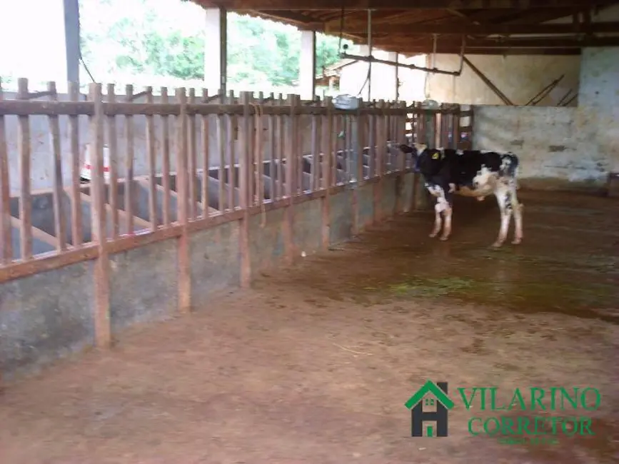 Fazenda / Haras com 4 quartos à venda, 180m2 em Caetanopolis - MG - imagem 9 Foto 9 de Fazenda / Haras com 4 quartos à venda, 180m2 em Caetanopolis - MG