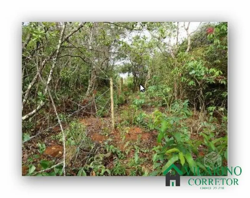 Foto 1 de Sítio / Rancho com 1 quarto à venda, 45m2 em Caetanopolis - MG