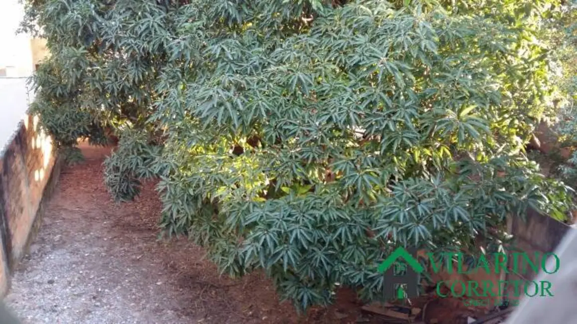 Armazém / Galpão à venda, 240m2 em Belo Horizonte - MG - imagem 7 Foto 7 de Armazém / Galpão à venda, 240m2 em Belo Horizonte - MG