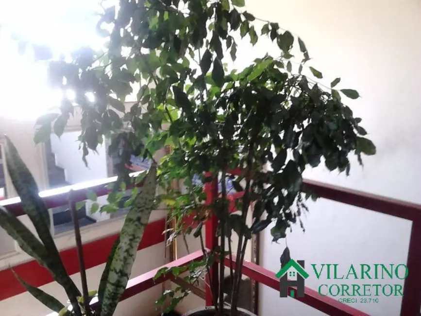 Sala Comercial à venda, 360m2 em Lagoinha, Belo Horizonte - MG - imagem 9 Foto 9 de Sala Comercial à venda, 360m2 em Lagoinha, Belo Horizonte - MG