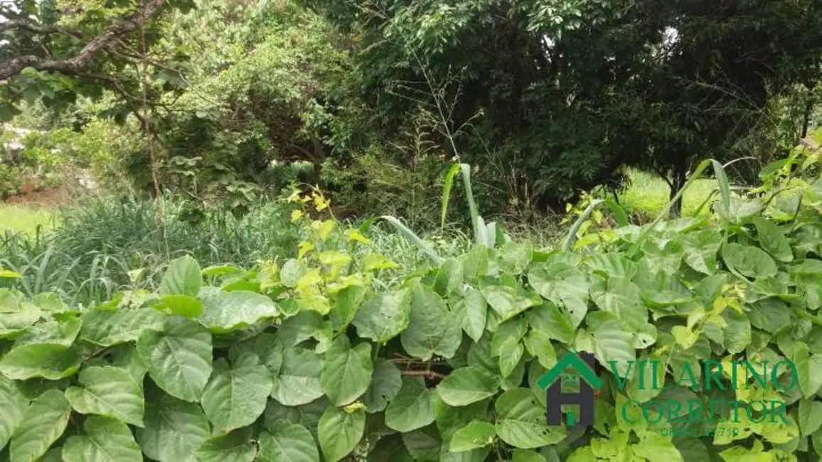 Terreno / Lote à venda, 3600m2 em Lagoa Santa - MG - imagem 6 Foto 6 de Terreno / Lote à venda, 3600m2 em Lagoa Santa - MG