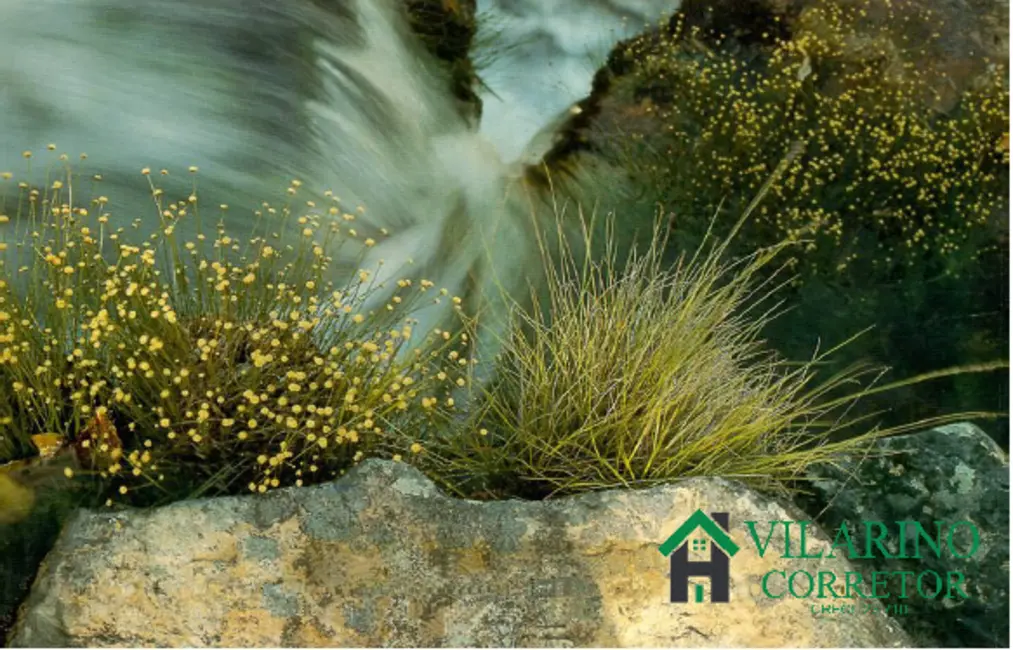 Foto 5 de Fazenda / Haras à venda, 100m2 em Santana Do Riacho - MG