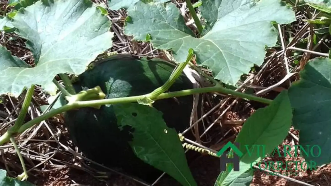 Foto 3 de Sítio / Rancho à venda, 7500m2 em Oliveira - MG