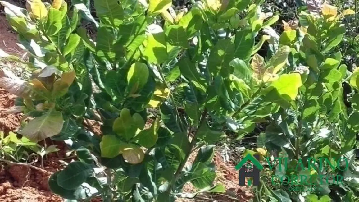 Foto 4 de Sítio / Rancho à venda, 7500m2 em Oliveira - MG