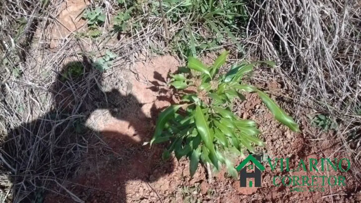 Foto 6 de Sítio / Rancho à venda, 7500m2 em Oliveira - MG