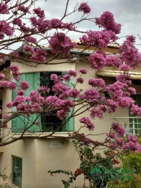 Foto 5 de Sítio / Rancho com 4 quartos à venda, 400m2 em Baldim - MG