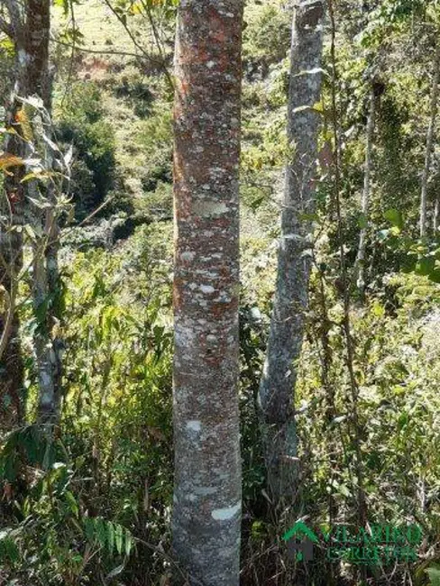 Foto 8 de Sítio / Rancho à venda, 20m2 em Bom Jesus Do Amparo - MG