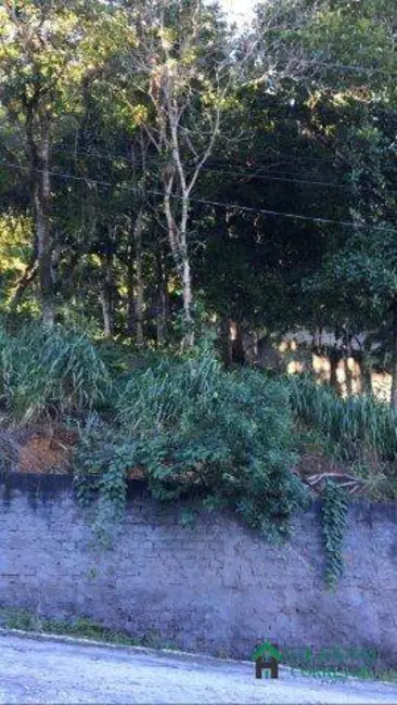 Terreno / Lote à venda, 1725m2 em Centro, Santa Cruz Cabralia - BA - imagem 6 Foto 6 de Terreno / Lote à venda, 1725m2 em Centro, Santa Cruz Cabralia - BA