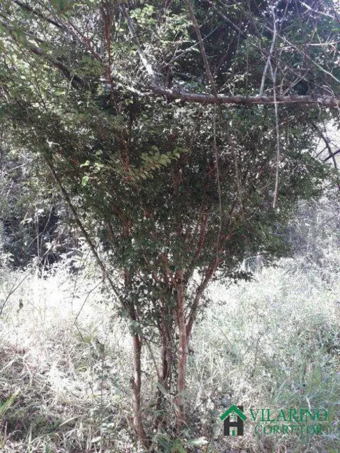 Foto 13 de Chácara à venda, 10m2 em Caete - MG