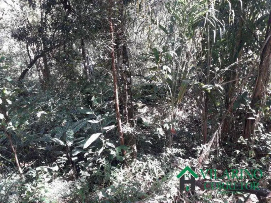 Foto 17 de Chácara à venda, 10m2 em Caete - MG