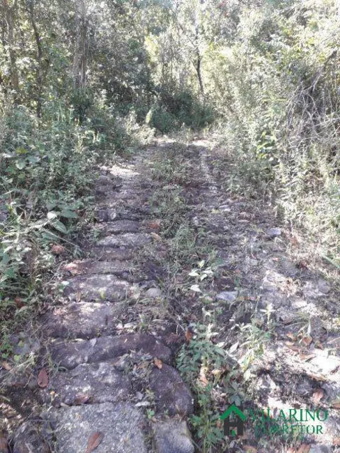 Foto 16 de Chácara à venda, 10m2 em Caete - MG