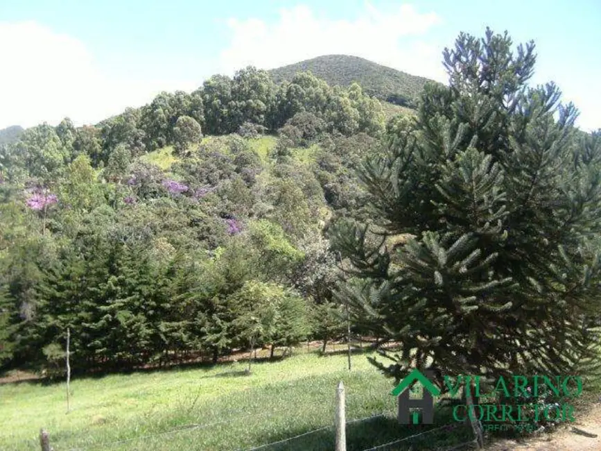 Foto 1 de Sítio / Rancho com 2 quartos à venda, 100m2 em Caete - MG