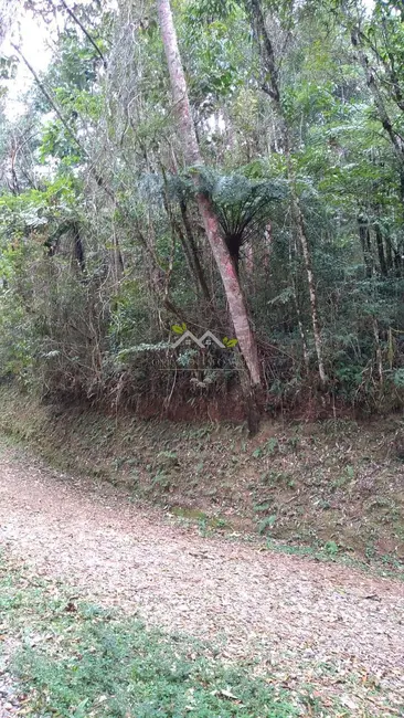 Foto 5 de Terreno / Lote à venda, 6900m2 em Campos Do Jordao - SP