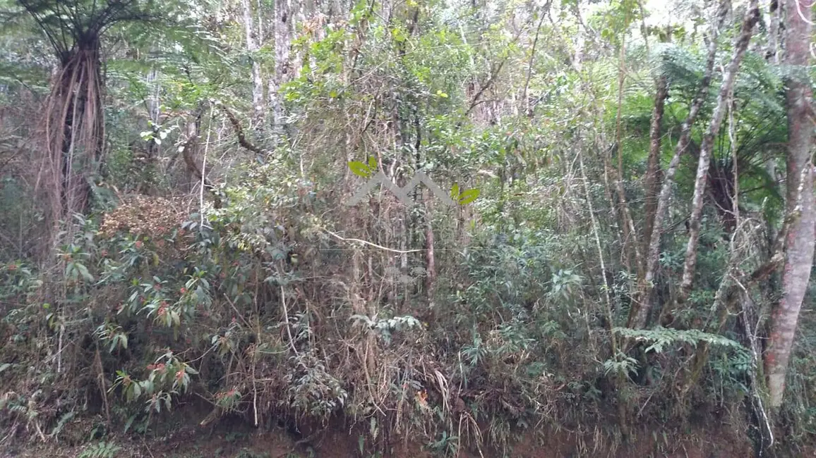 Foto 8 de Terreno / Lote à venda, 6900m2 em Campos Do Jordao - SP