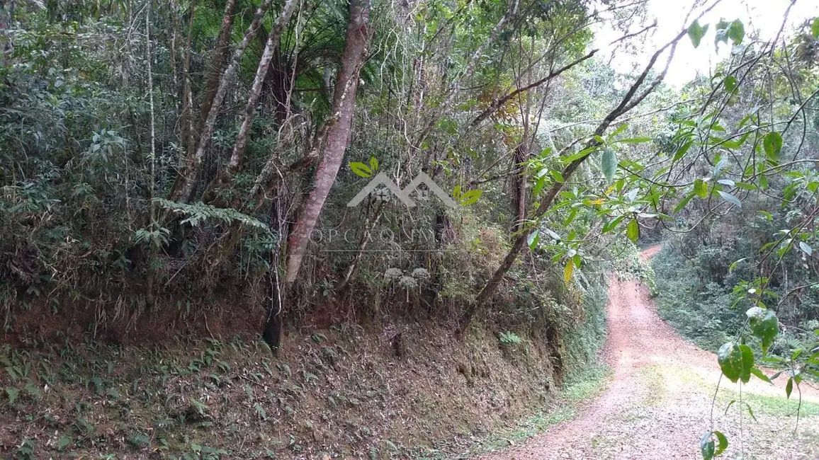 Foto 7 de Terreno / Lote à venda, 6900m2 em Campos Do Jordao - SP