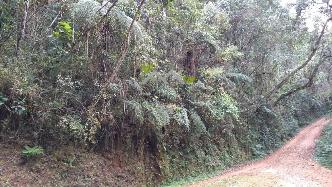 Foto 4 de Terreno / Lote à venda, 6900m2 em Campos Do Jordao - SP