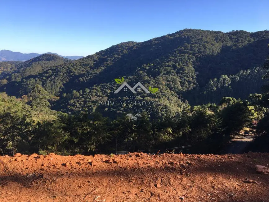 Foto 4 de Terreno / Lote à venda, 1768m2 em Santo Antonio Do Pinhal - SP