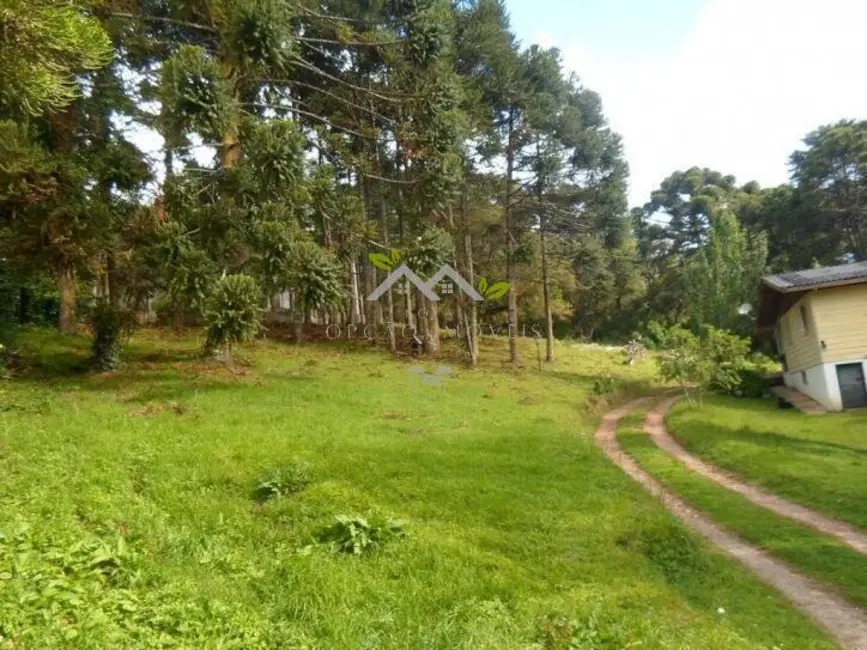 Chácara com 2 quartos à venda, 70m2 em Campos Do Jordao - SP - imagem 4 Foto 4 de Chácara com 2 quartos à venda, 70m2 em Campos Do Jordao - SP