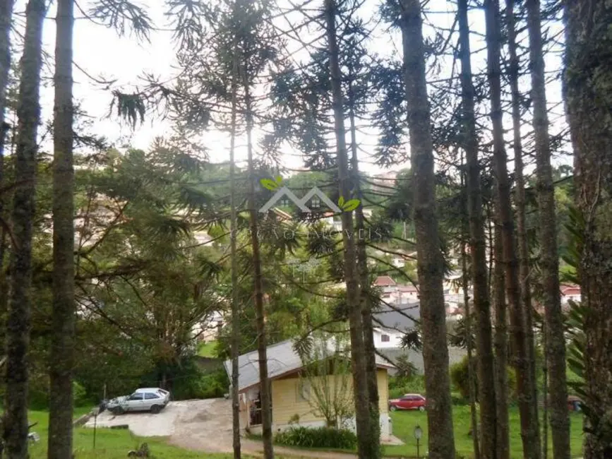 Chácara com 2 quartos à venda, 70m2 em Campos Do Jordao - SP - imagem 9 Foto 9 de Chácara com 2 quartos à venda, 70m2 em Campos Do Jordao - SP