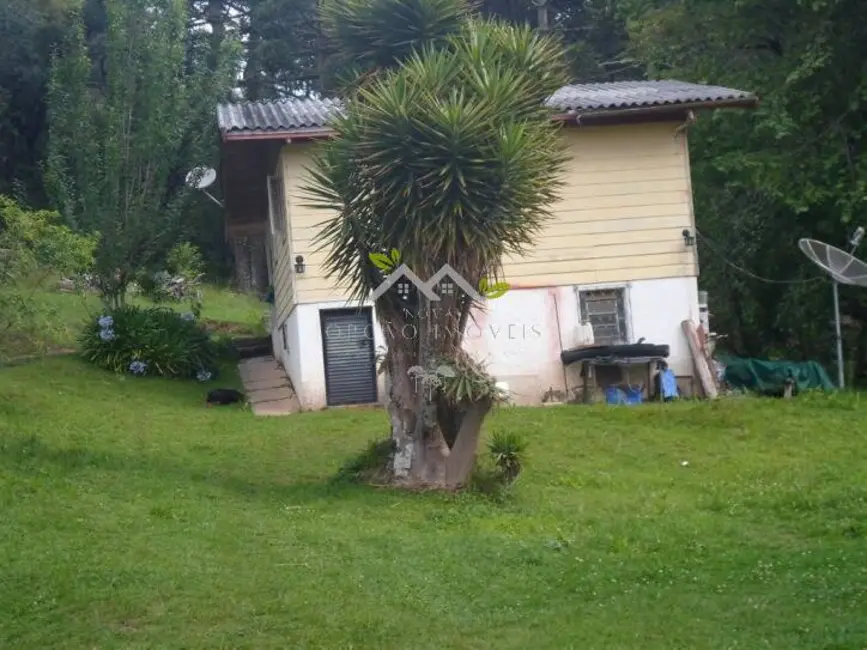 Chácara com 2 quartos à venda, 70m2 em Campos Do Jordao - SP - imagem 6 Foto 6 de Chácara com 2 quartos à venda, 70m2 em Campos Do Jordao - SP