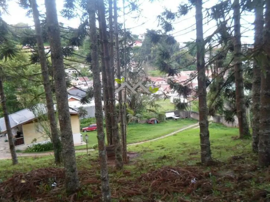 Chácara com 2 quartos à venda, 70m2 em Campos Do Jordao - SP - imagem 8 Foto 8 de Chácara com 2 quartos à venda, 70m2 em Campos Do Jordao - SP