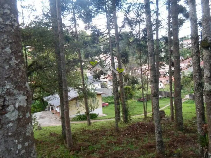 Chácara com 2 quartos à venda, 70m2 em Campos Do Jordao - SP - imagem 7 Foto 7 de Chácara com 2 quartos à venda, 70m2 em Campos Do Jordao - SP