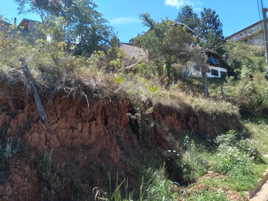 Foto 4 de Terreno / Lote à venda, 328m2 em Campos Do Jordao - SP