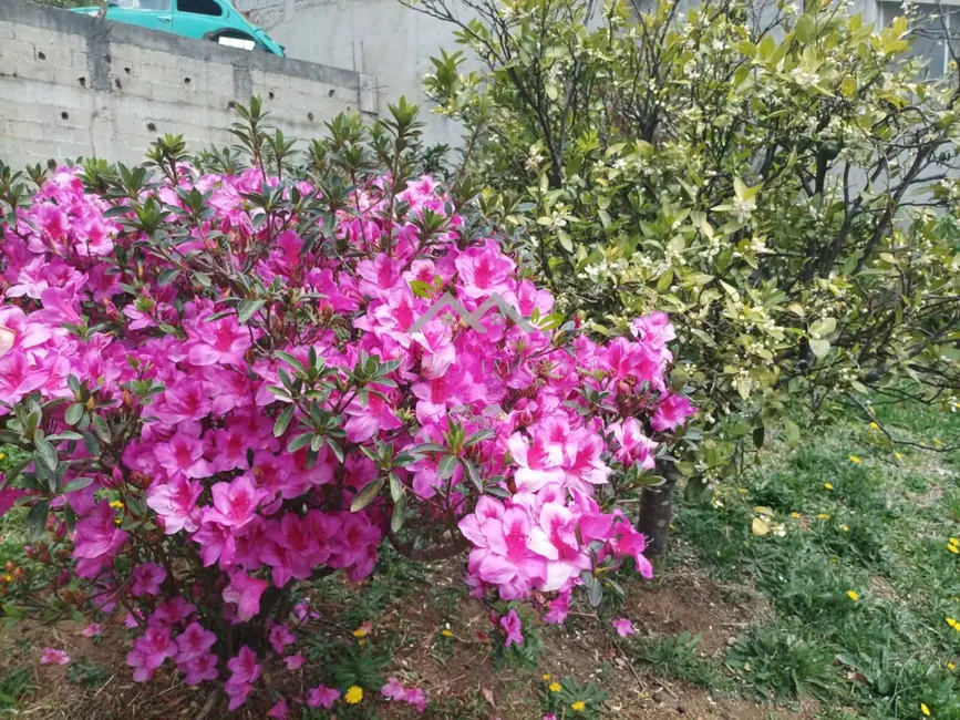 Foto 5 de Casa com 3 quartos à venda em Campos Do Jordao - SP