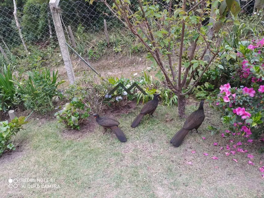 Foto 9 de Casa com 2 quartos à venda, 135m2 em Campos Do Jordao - SP
