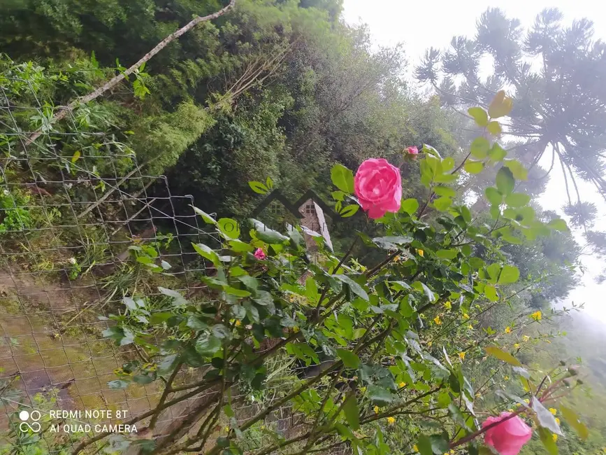 Foto 7 de Casa com 2 quartos à venda, 135m2 em Campos Do Jordao - SP