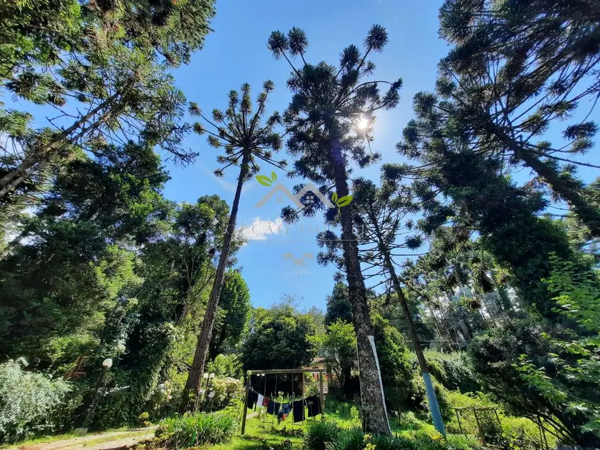 Foto 6 de Casa com 5 quartos à venda, 567m2 em Campos Do Jordao - SP
