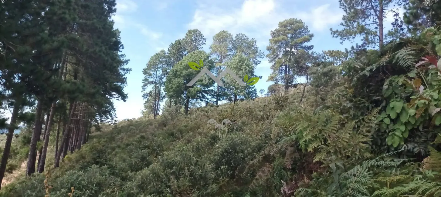 Terreno / Lote à venda, 5300m2 em Campos Do Jordao - SP - imagem 8 Foto 8 de Terreno / Lote à venda, 5300m2 em Campos Do Jordao - SP