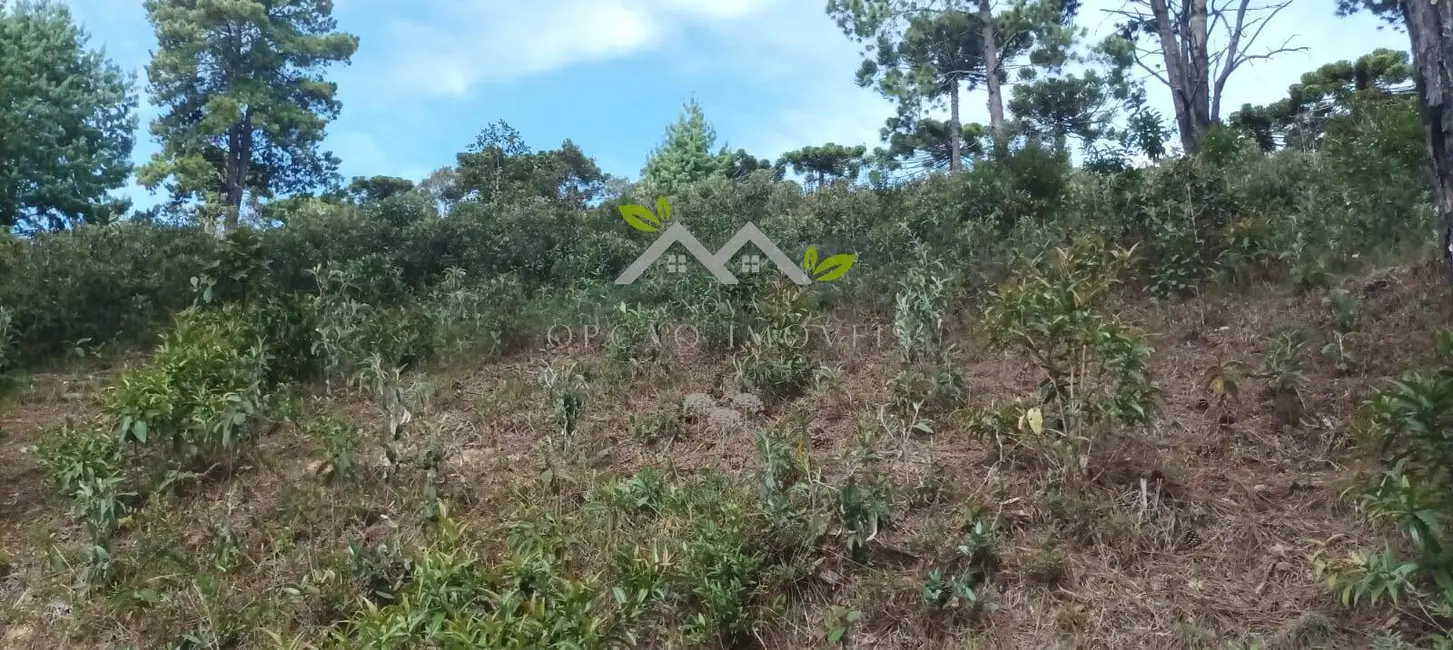 Foto 2 de Terreno / Lote à venda, 5300m2 em Campos Do Jordao - SP