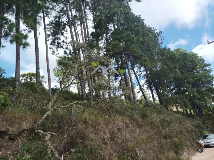 Foto 1 de Terreno / Lote à venda, 5300m2 em Campos Do Jordao - SP