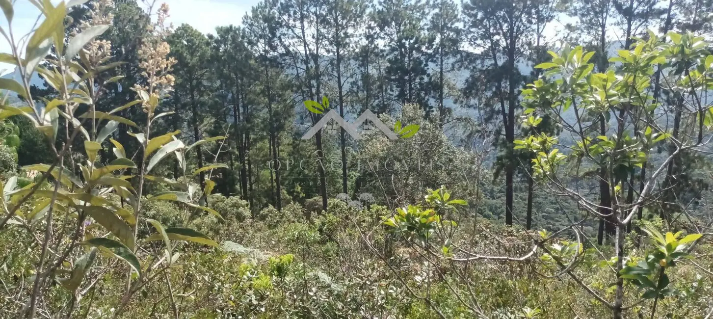 Terreno / Lote à venda, 5300m2 em Campos Do Jordao - SP - imagem 5 Foto 5 de Terreno / Lote à venda, 5300m2 em Campos Do Jordao - SP