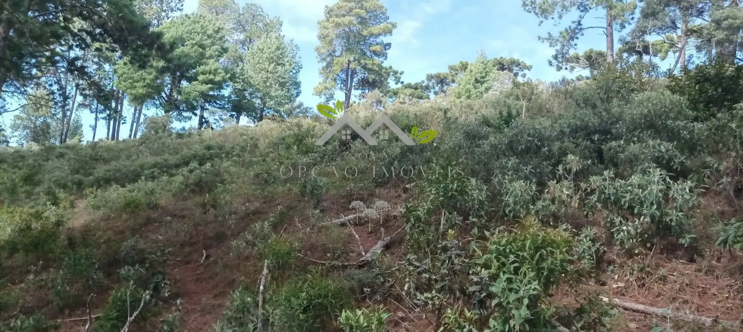 Terreno / Lote à venda, 5300m2 em Campos Do Jordao - SP - imagem 3 Foto 3 de Terreno / Lote à venda, 5300m2 em Campos Do Jordao - SP