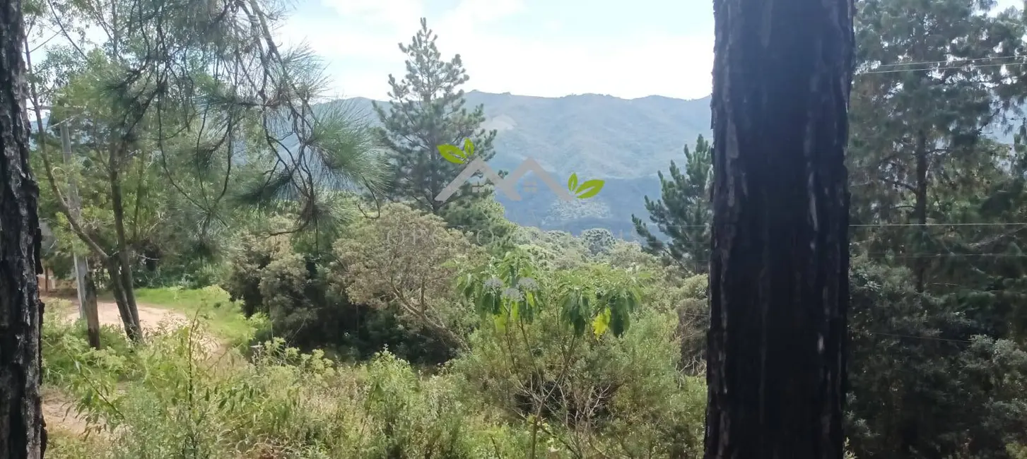 Terreno / Lote à venda, 5300m2 em Campos Do Jordao - SP - imagem 9 Foto 9 de Terreno / Lote à venda, 5300m2 em Campos Do Jordao - SP