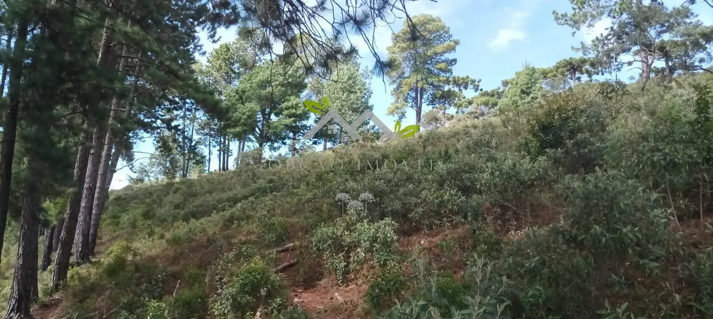 Terreno / Lote à venda, 5300m2 em Campos Do Jordao - SP - imagem 4 Foto 4 de Terreno / Lote à venda, 5300m2 em Campos Do Jordao - SP