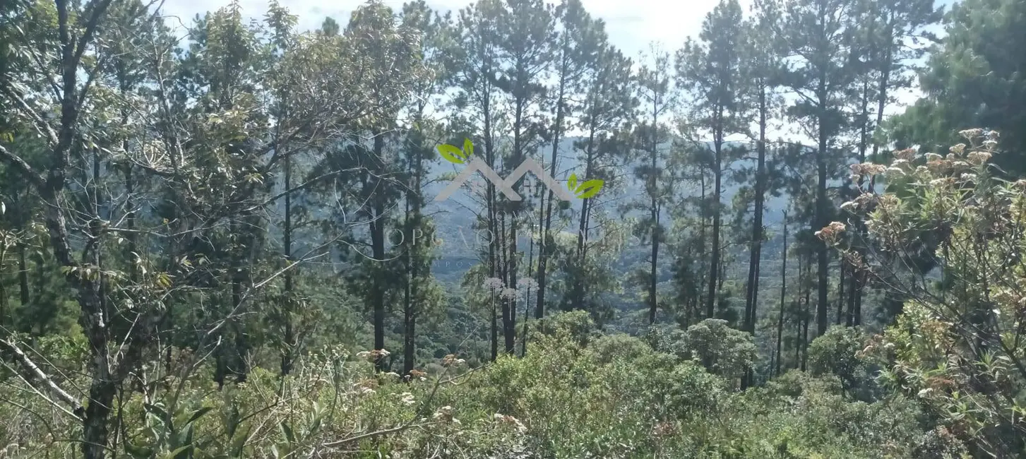 Terreno / Lote à venda, 5300m2 em Campos Do Jordao - SP - imagem 6 Foto 6 de Terreno / Lote à venda, 5300m2 em Campos Do Jordao - SP