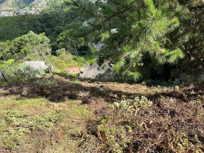 Foto 2 de Terreno / Lote à venda, 310m2 em Campos Do Jordao - SP