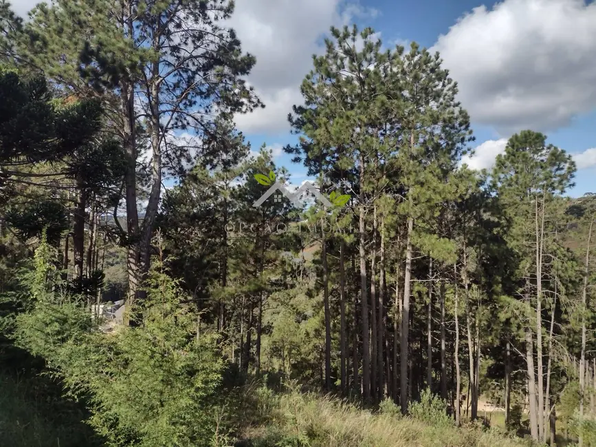 Foto 5 de Apartamento com 2 quartos à venda, 50m2 em Campos Do Jordao - SP