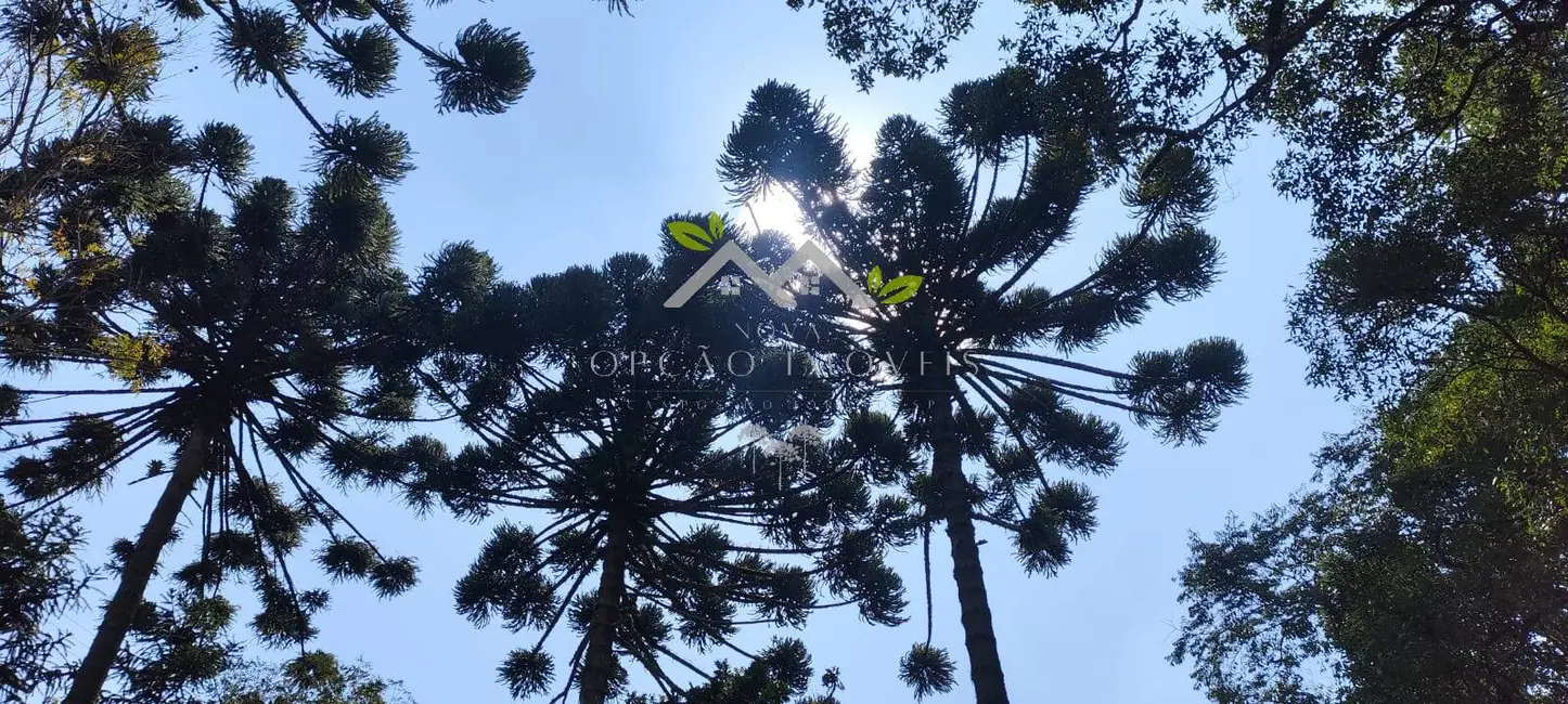 Foto 3 de Casa com 2 quartos à venda, 132m2 em Campos Do Jordao - SP