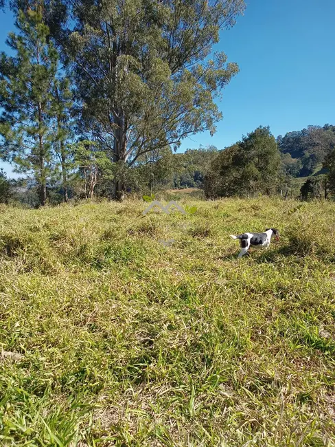 Foto 4 de Terreno / Lote à venda, 30500m2 em Campos Do Jordao - SP