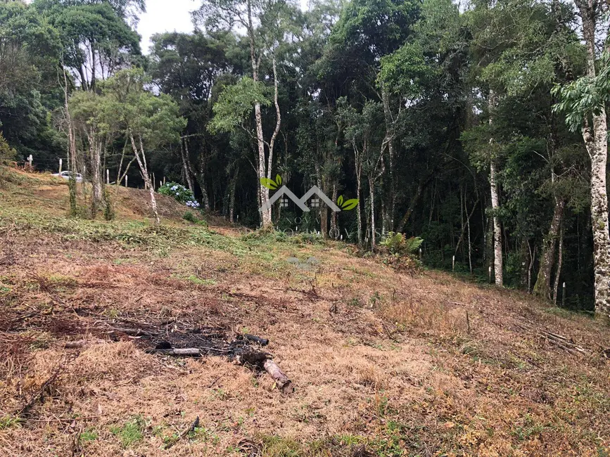 Terreno / Lote à venda, 3307m2 em Campos Do Jordao - SP - imagem 6 Foto 6 de Terreno / Lote à venda, 3307m2 em Campos Do Jordao - SP