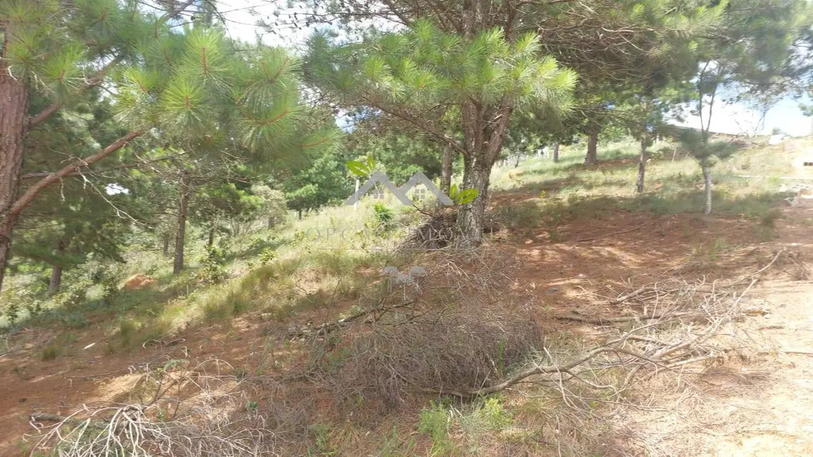 Foto 4 de Terreno / Lote à venda, 1048m2 em Campos Do Jordao - SP