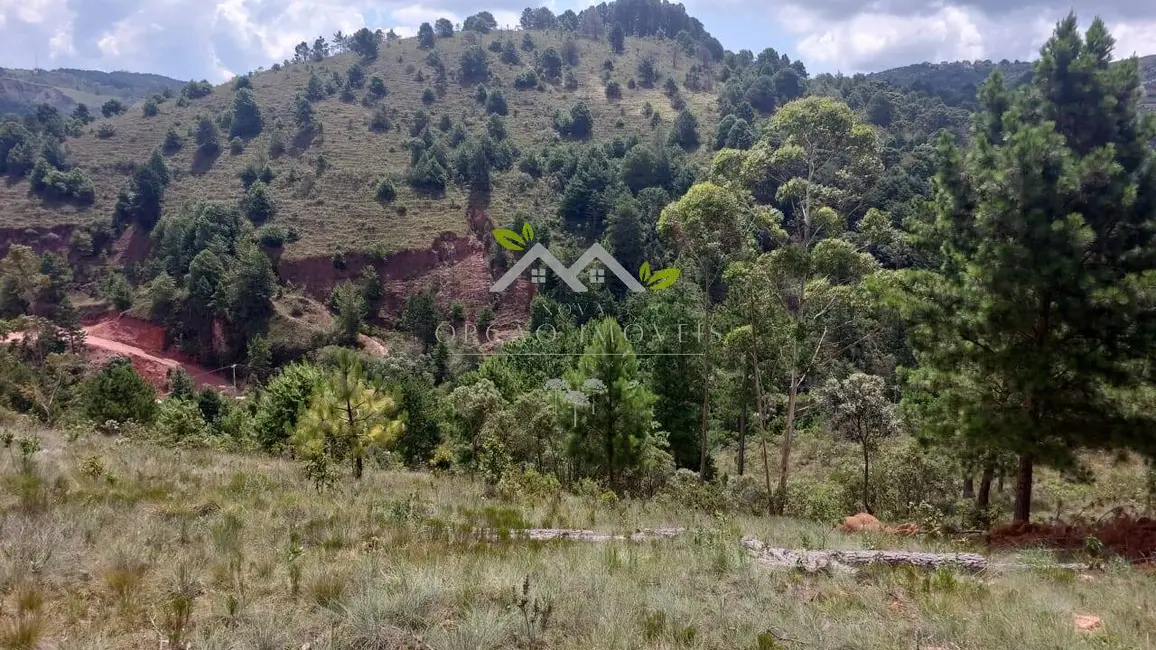 Foto 3 de Terreno / Lote à venda, 1048m2 em Campos Do Jordao - SP