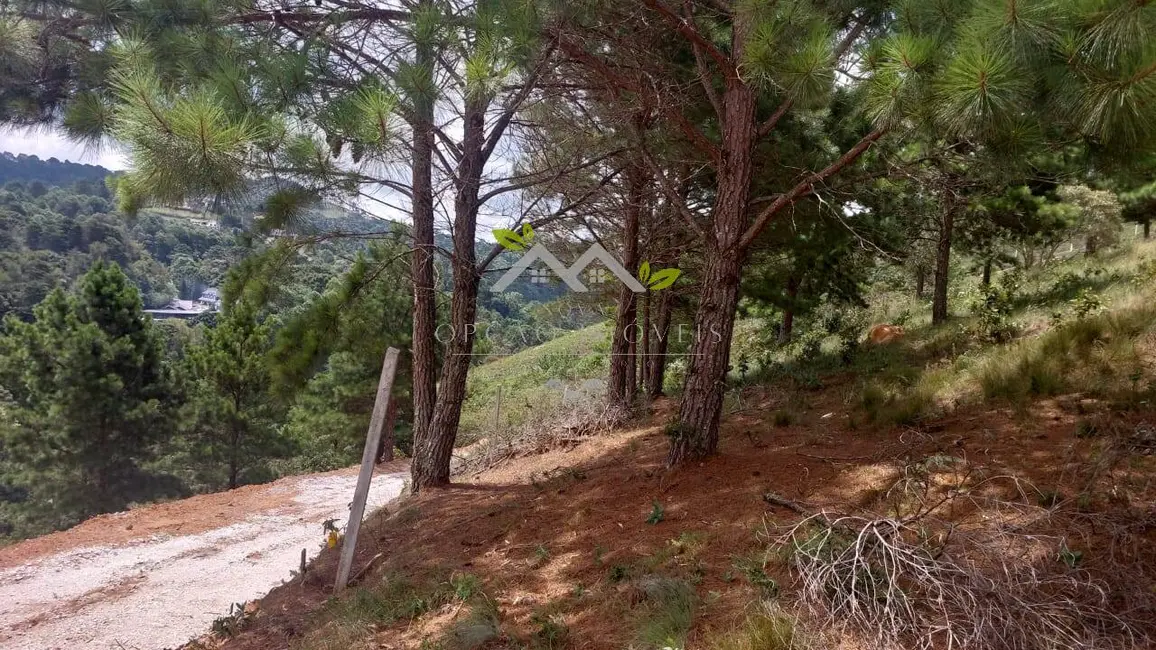 Foto 5 de Terreno / Lote à venda, 1048m2 em Campos Do Jordao - SP