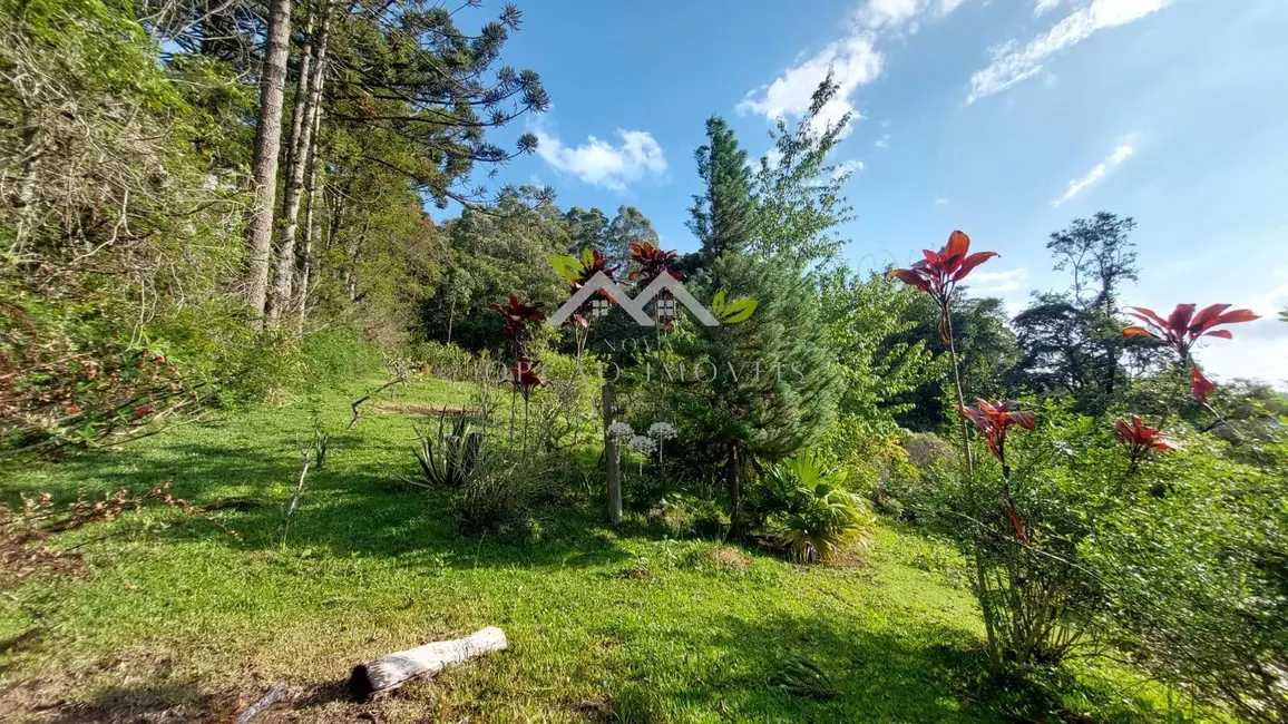 Foto 4 de Casa com 2 quartos à venda, 11645m2 em Campos Do Jordao - SP