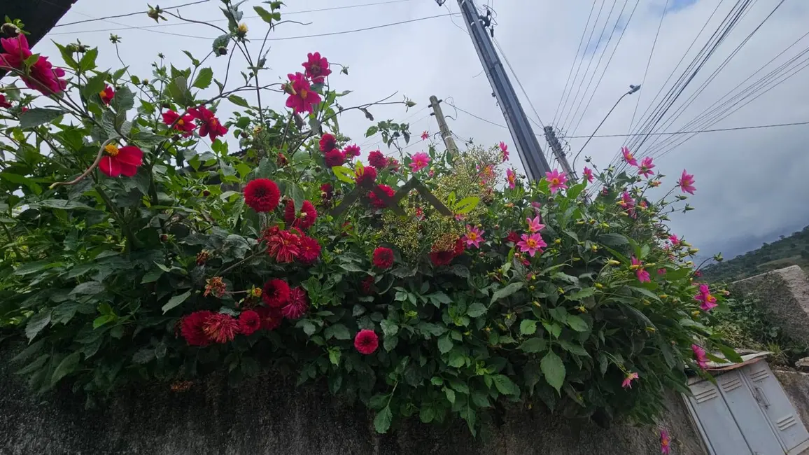 Foto 7 de Casa com 2 quartos à venda, 200m2 em Campos Do Jordao - SP